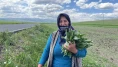 Doğadan sofralara evelik mesaisi