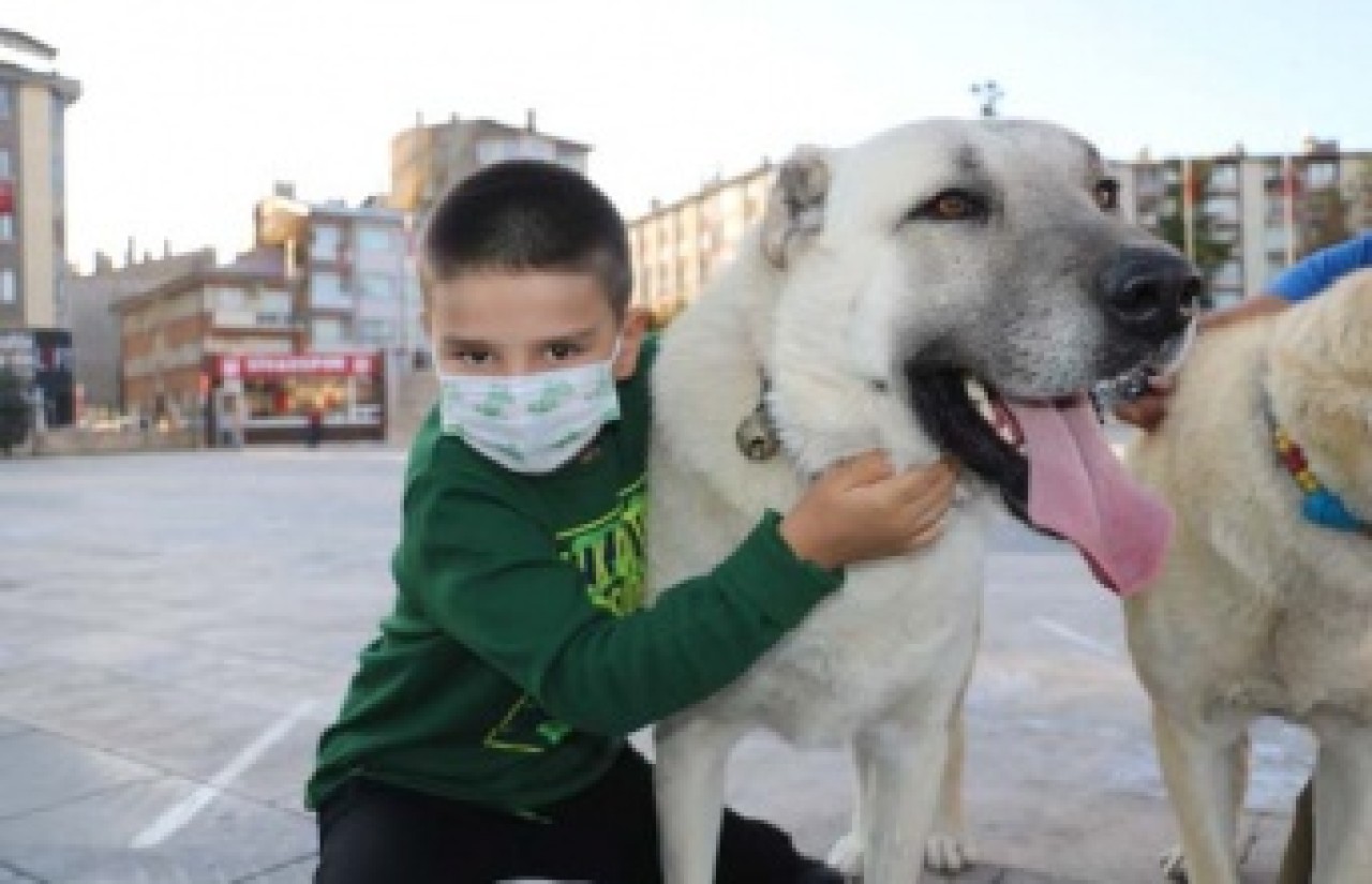 “Safkan kangal  insana saldırmaz”