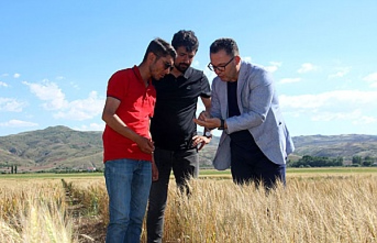 2 bin 500 genotip  üzerinde çalışıyor