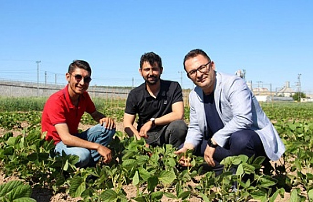 Islah çalışmaları dışa  bağımlılığı bitirecek