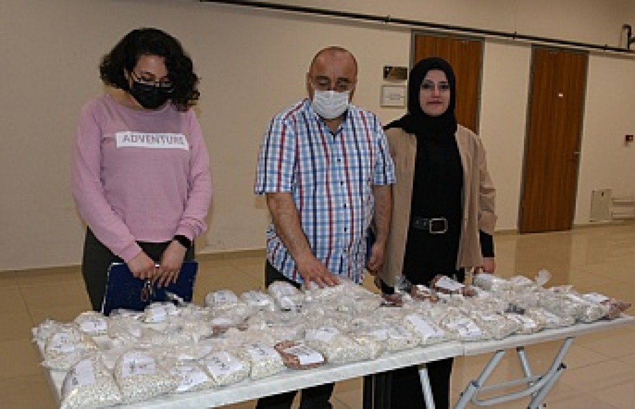 Verimi yüksek fasülye  adayları belirlendi