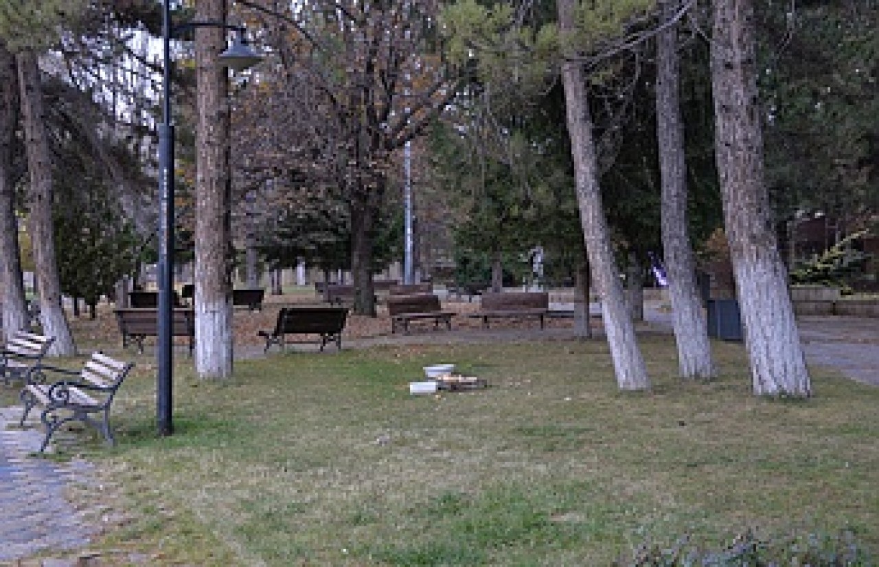 DUYARLI OLALIM