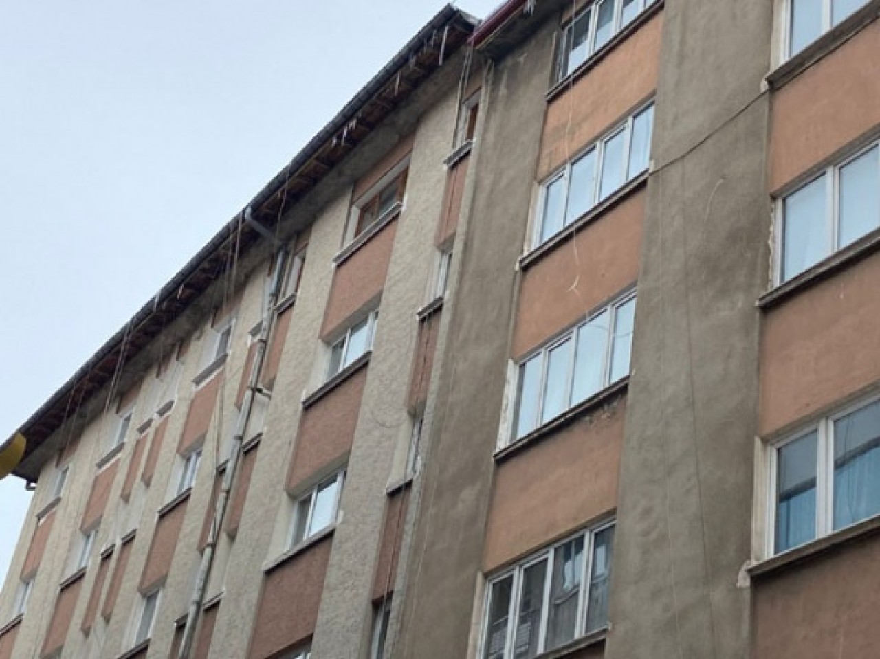 SARKITLAR TEHLİKE YARATIYOR