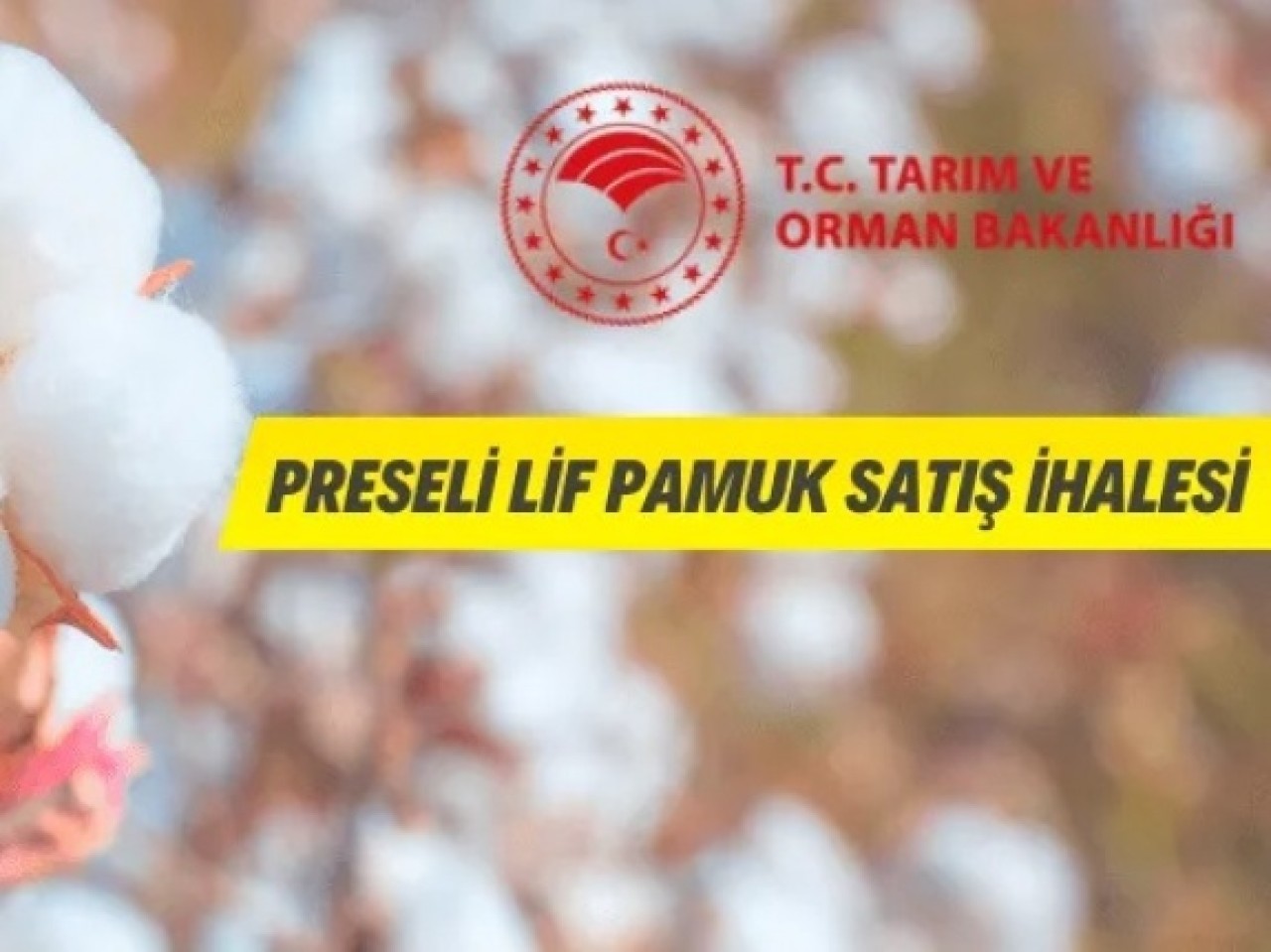 Preseli Lif Pamuk Satışı İhalesi