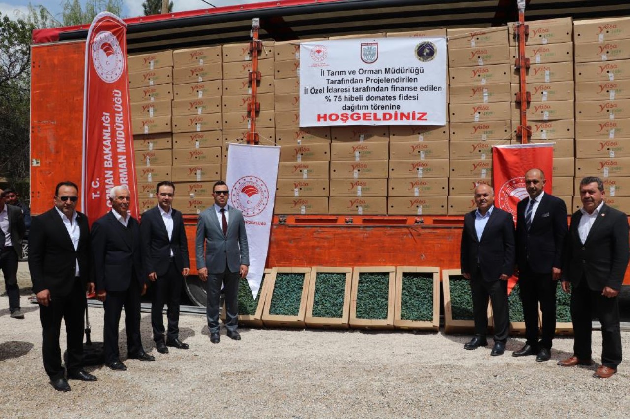 AKINCILAR’DA 220 BİN DOMATES FİDESİ DAĞITILDI