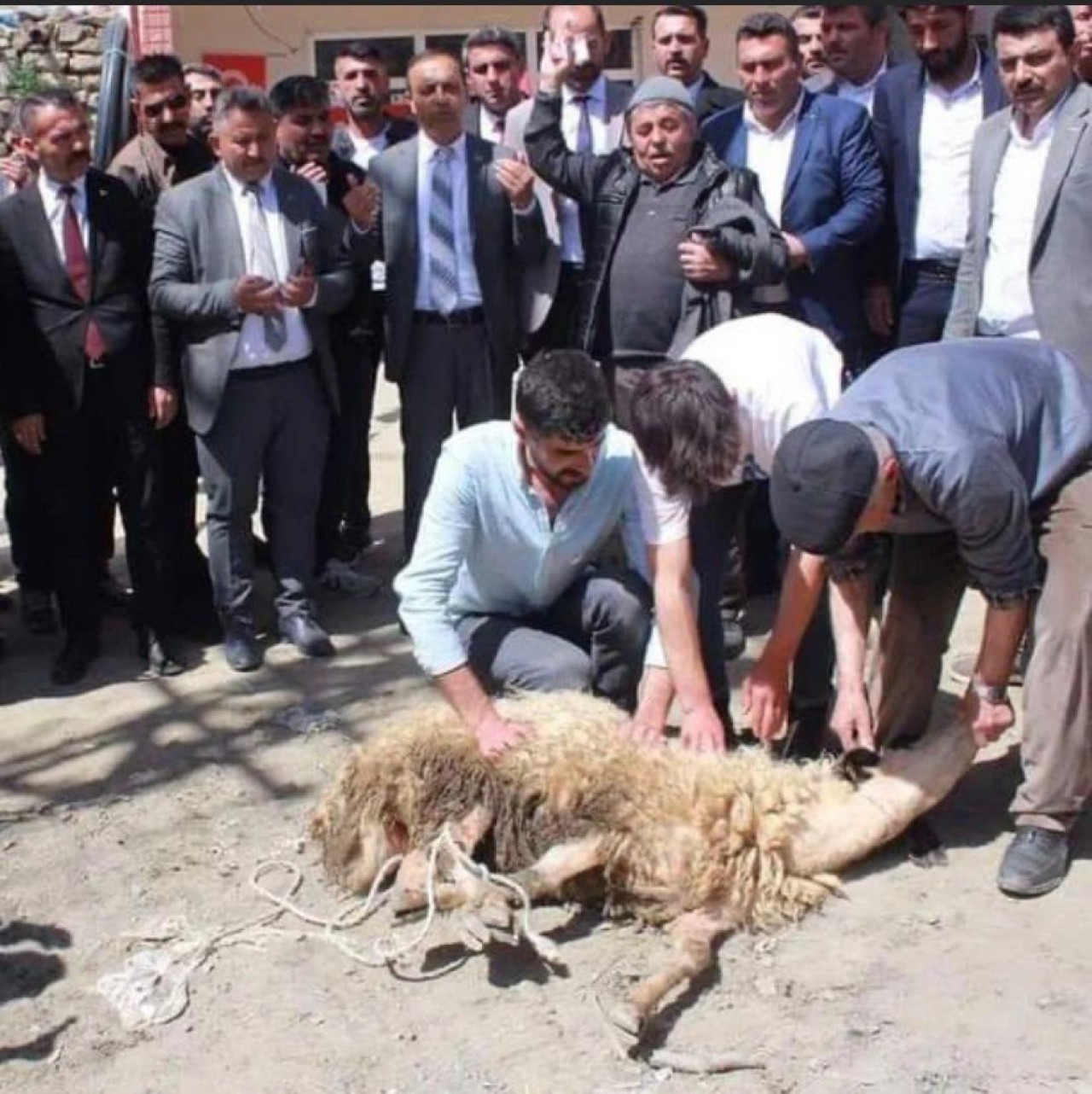 MHP HIZ KESMİYOR