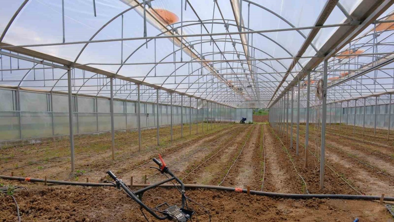 BU BÖLÜMDE İŞ GARANTİSİ VAR