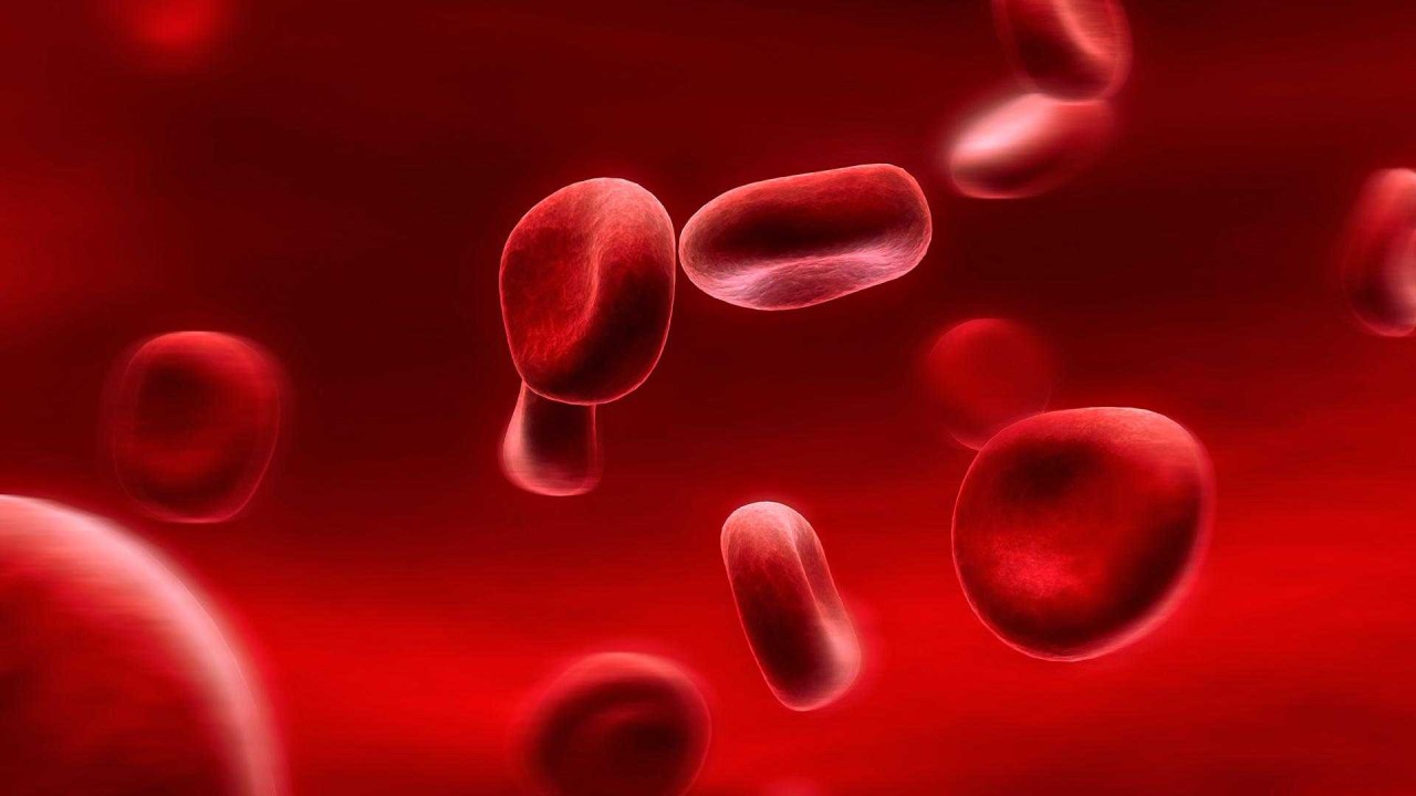 Akdeniz Anemisi (Talasemi) Nedir? Belirtileri Nelerdir? Akdeniz Anemisi Tedavisi Var Mı?