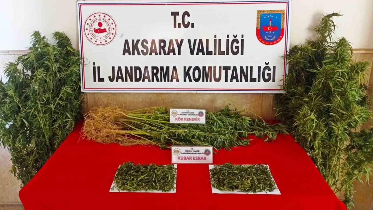 Aksaray jandarmadan uyuşturucu operasyonu: 2 gözaltı