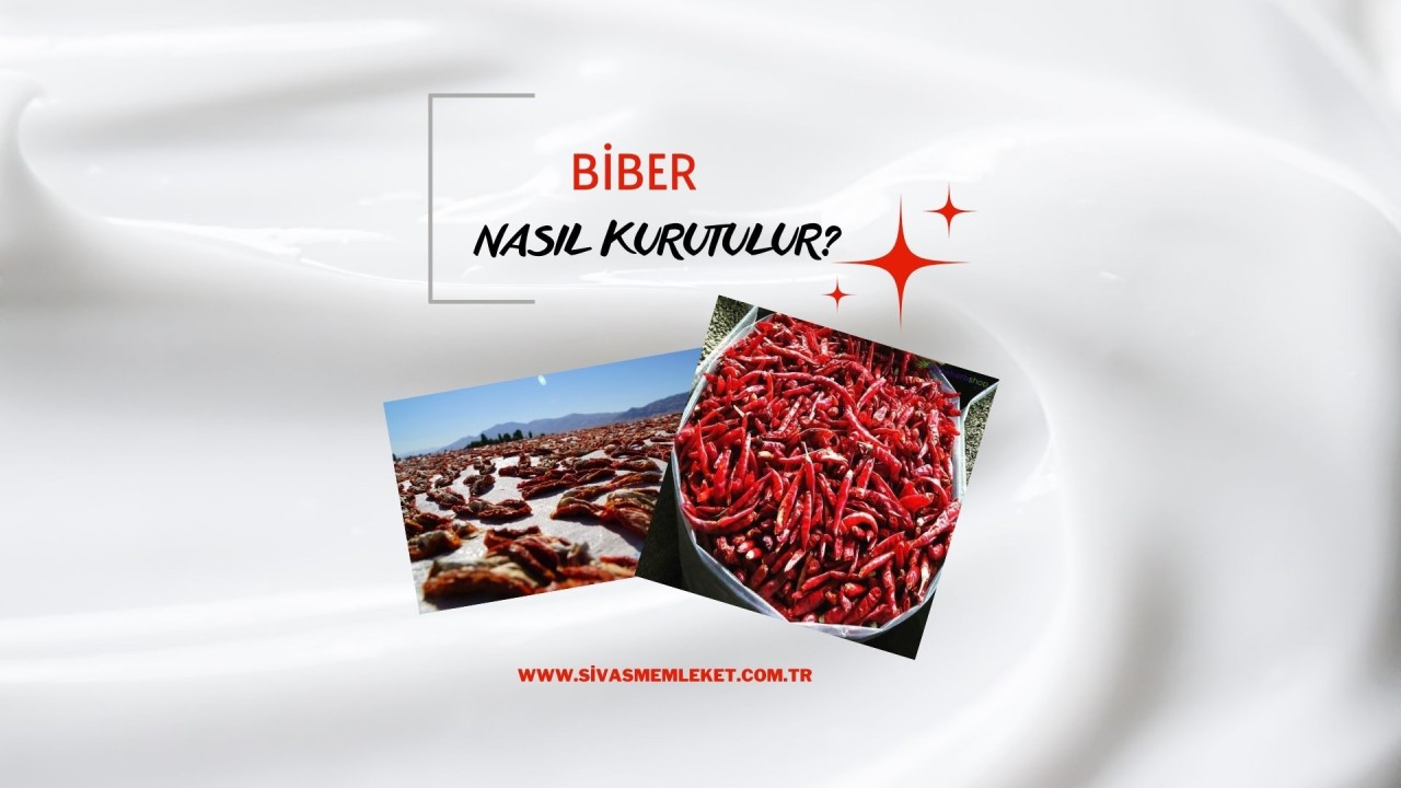 BİBER NASIL KURUTULUR?