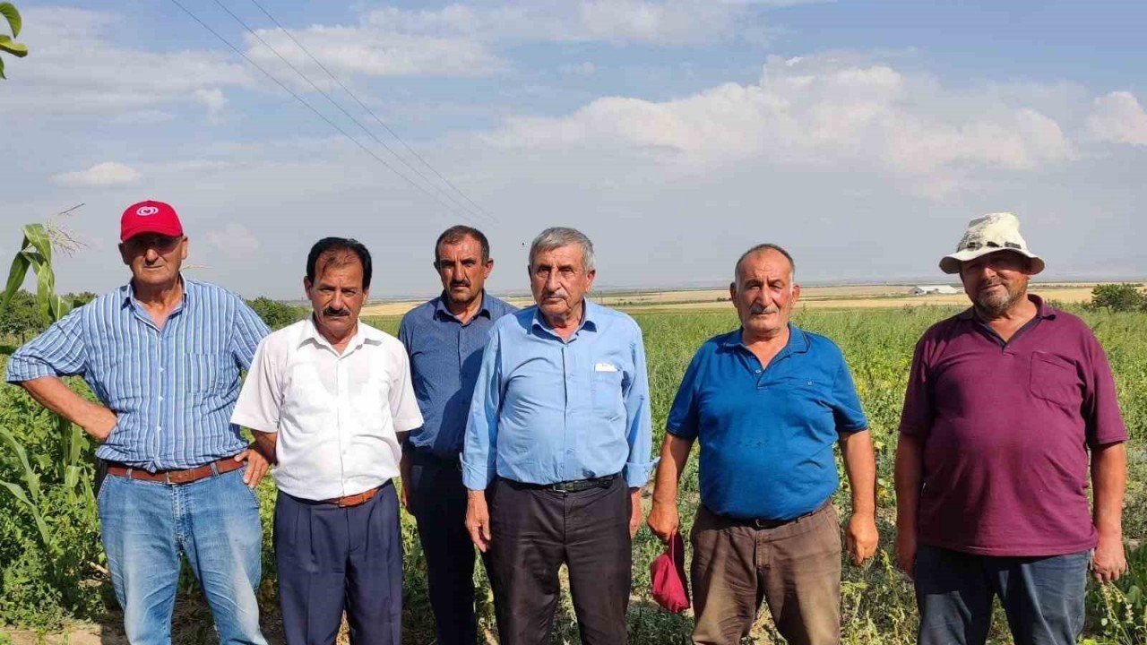 Arazi toplulaştırması çiftçileri mağdur etti