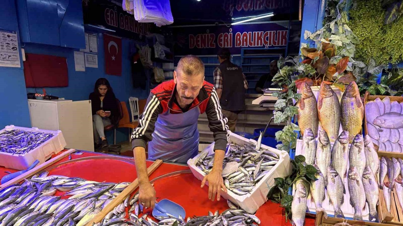 Balık sezonu açıldı tezgahlar renklenmeye başladı