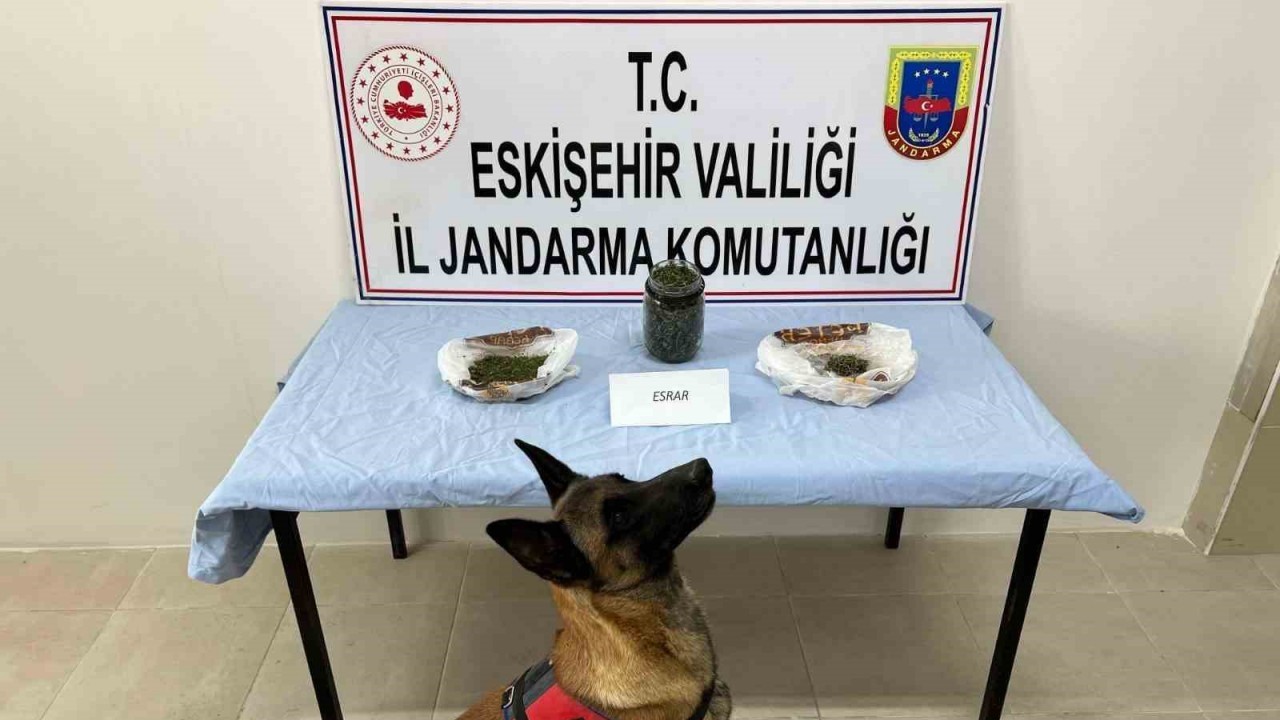 Ektiği keneviri esrar haline getirip satan şahıs yakalandı