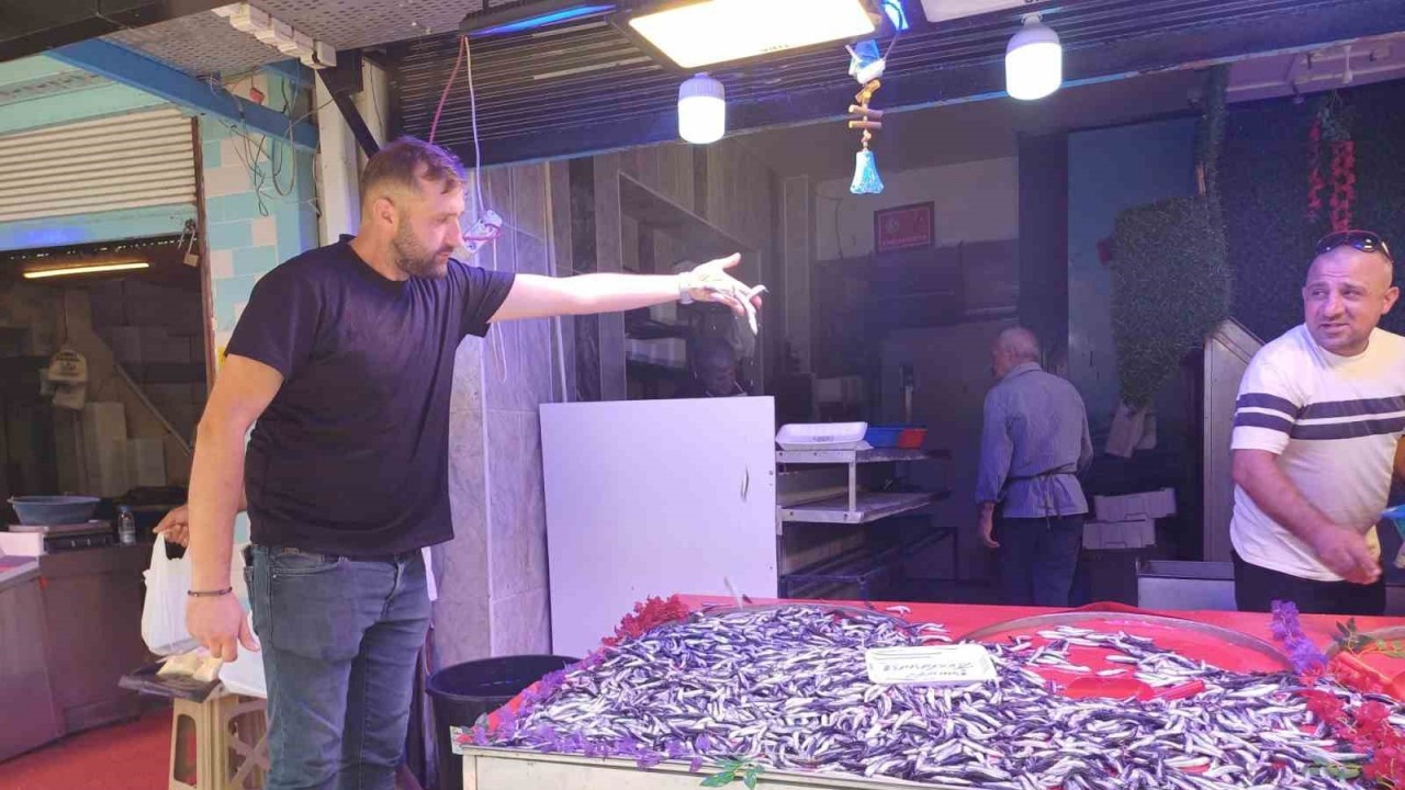 Hamsi kilosu 100 liradan tezgahlardaki yerini aldı