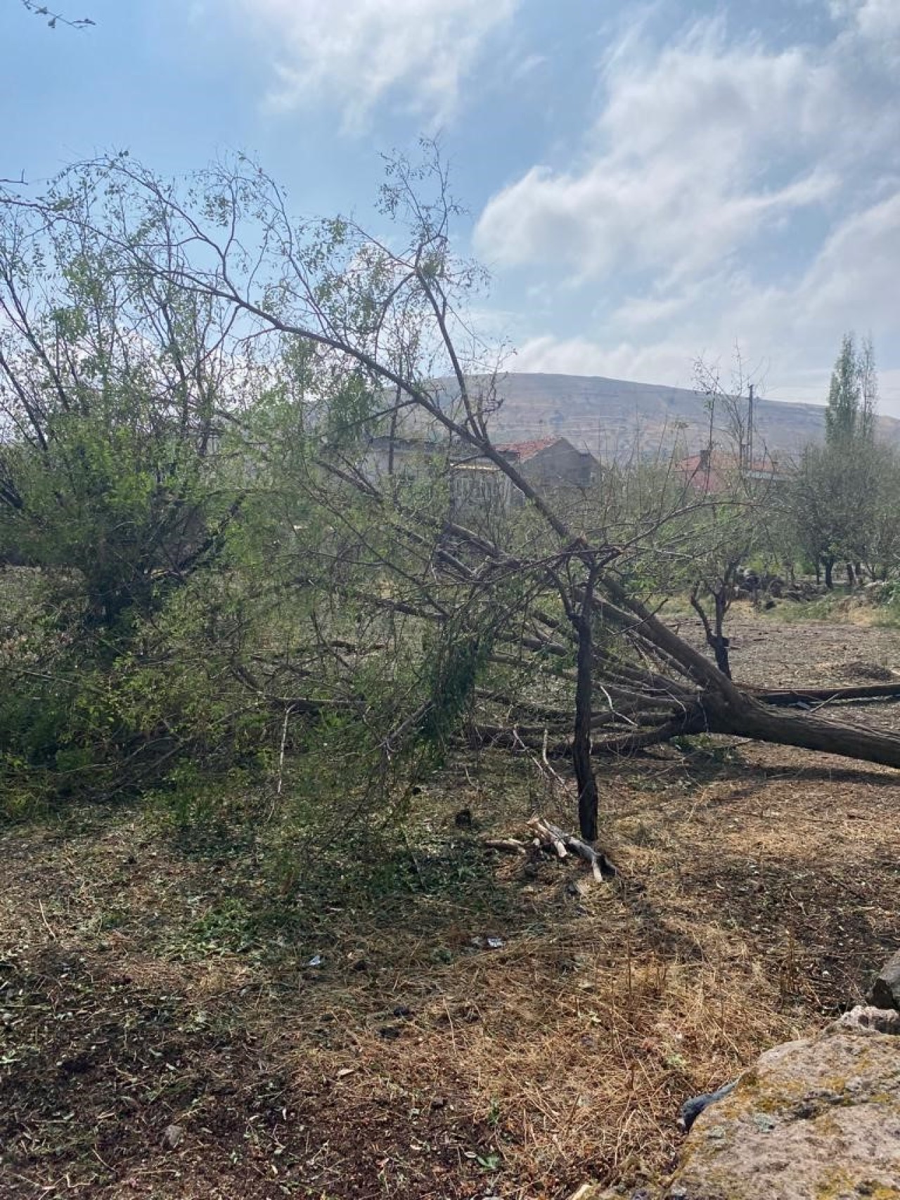 İl Özel İdaresi,  çalışmalarına aralıksız devam ediyor