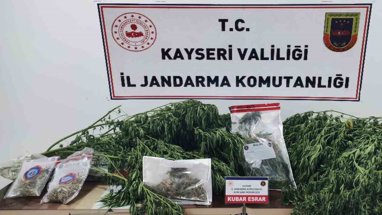 Jandarmadan bağ evine uyuşturucu operasyonu