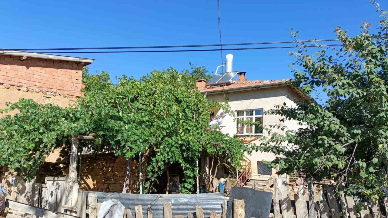 Kim Milyoner Olmak İster yarışmasında 1 milyon lira kazanan Rabia Göğercin köyünün gururu oldu