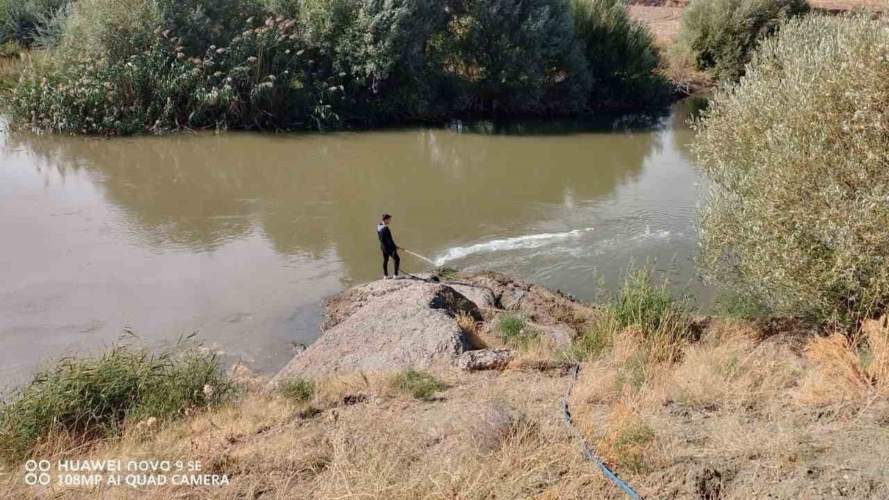 Kızılırmak’ta üvez sineği ile etkin mücadele devam ediyor
