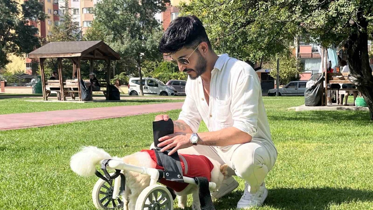 Köpeği felç kaldıktan sonra Müslüman oldu