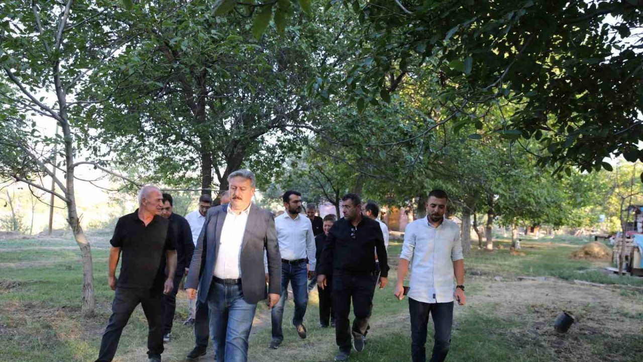 Melikgazi’den sokak hayvanlarına destek