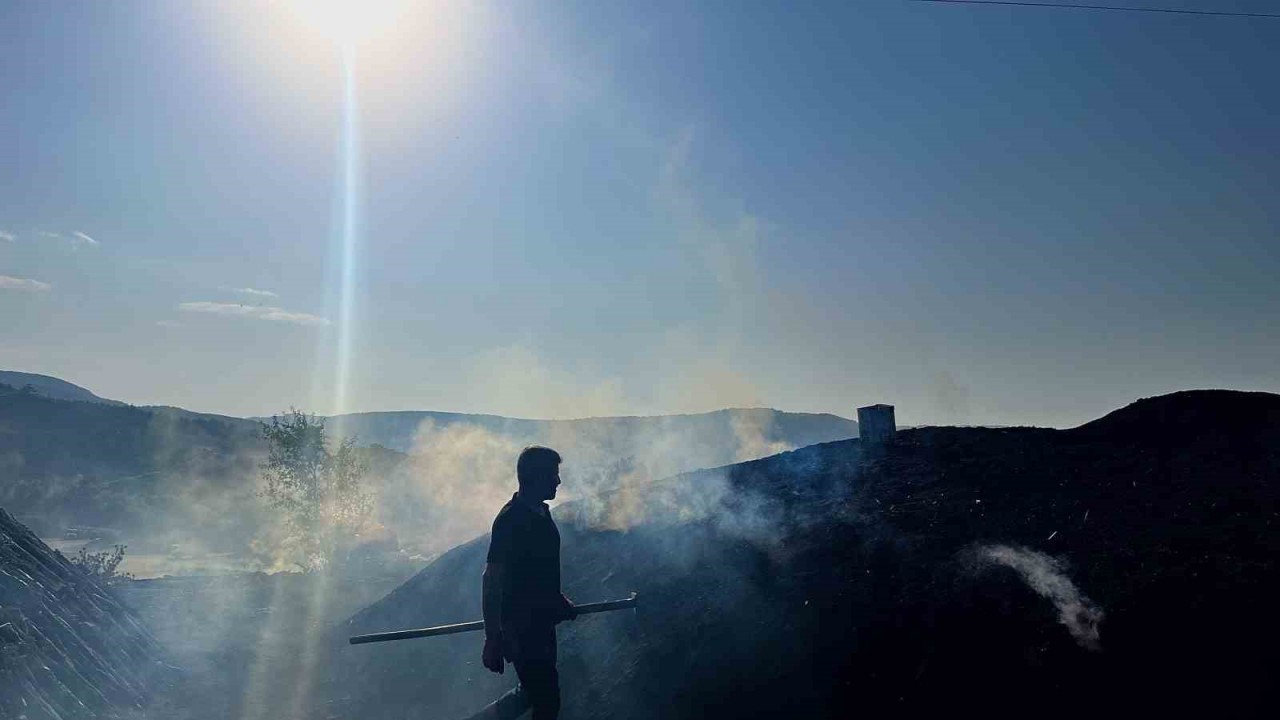 (ÖZEL) Odun öbeklerinin karşısından günlerce süren kömür nöbeti