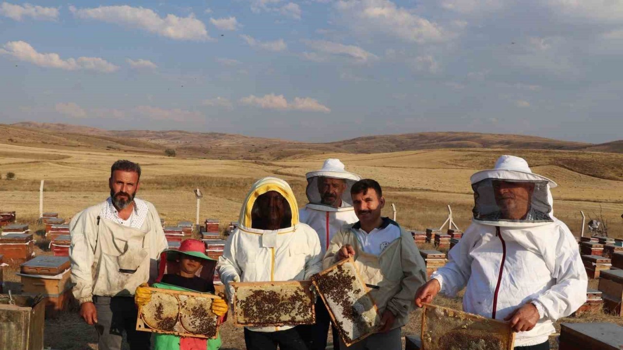 Sivas çiçek balı üretiminde ilk sırada
