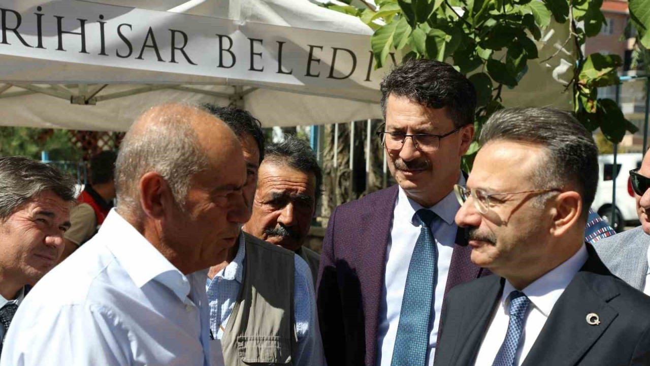 Sivrihisar kanola çiçekleri ile sarıya boyanıyor