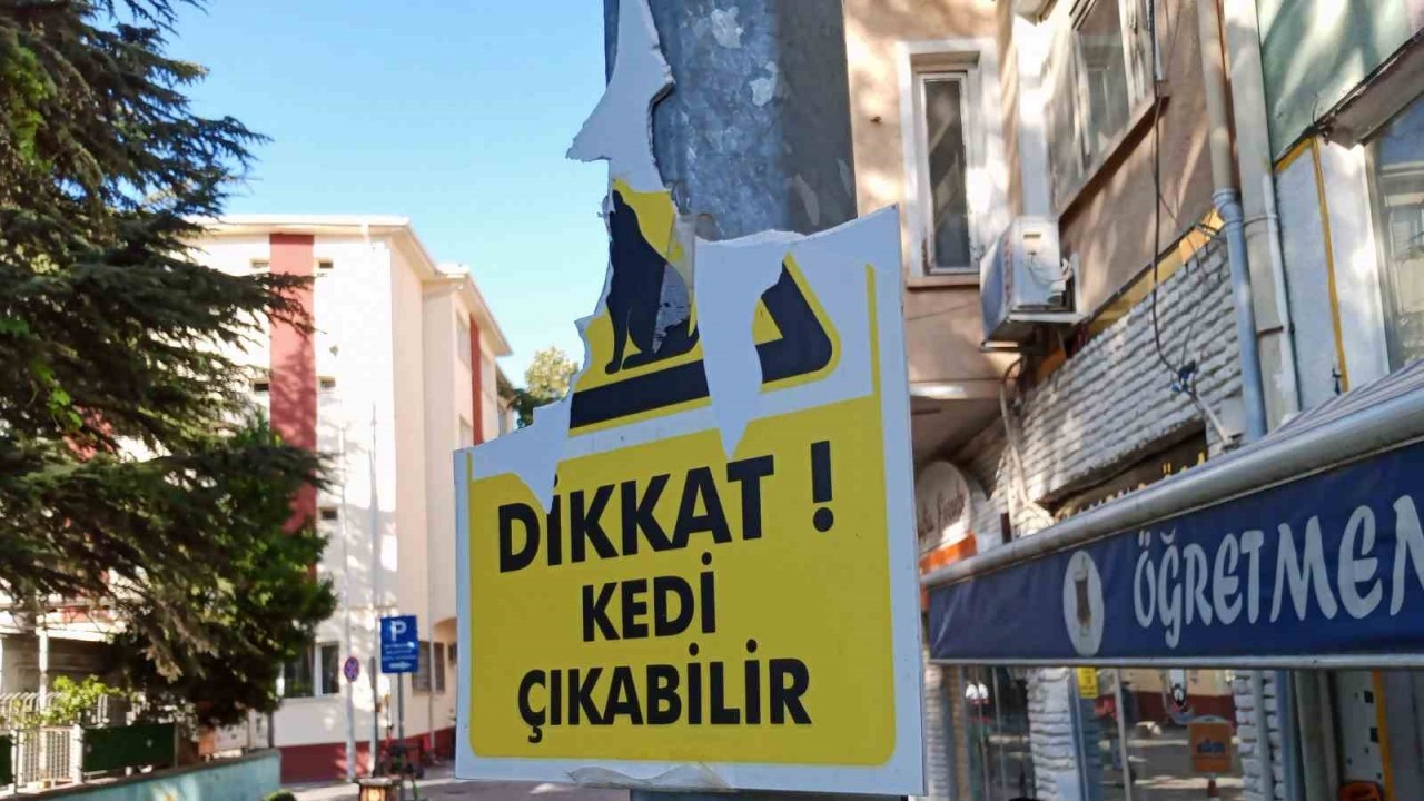 Vandallar hayvansever esnafın plastik uyarı levhasına göz dikti