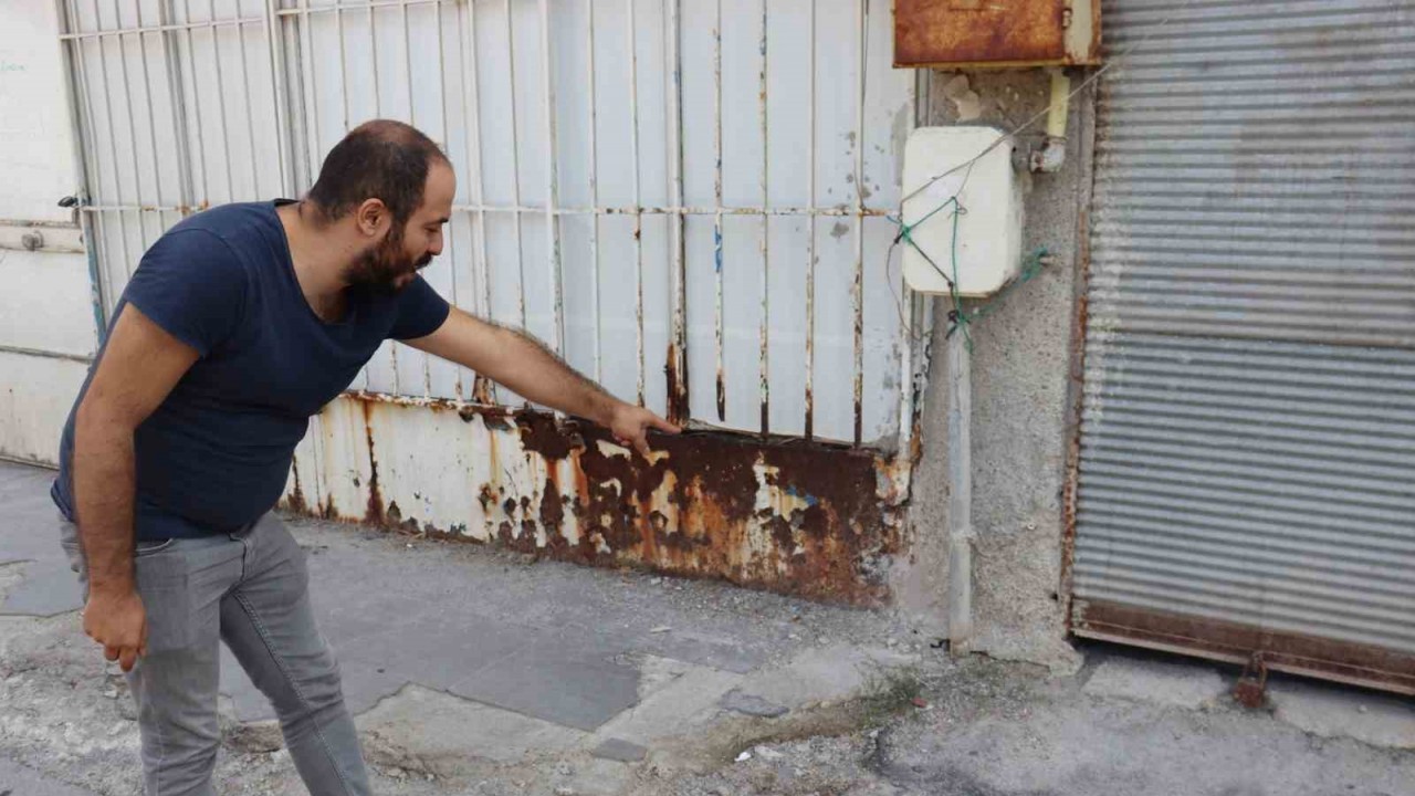 Yaşadıkları apartmanda fareler gören vatandaşlar yetkililere seslendi