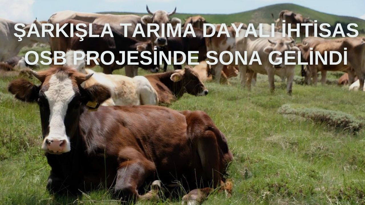 Şarkışla Tarıma Dayalı İhtisas OSB Projesinde Sona Gelindi