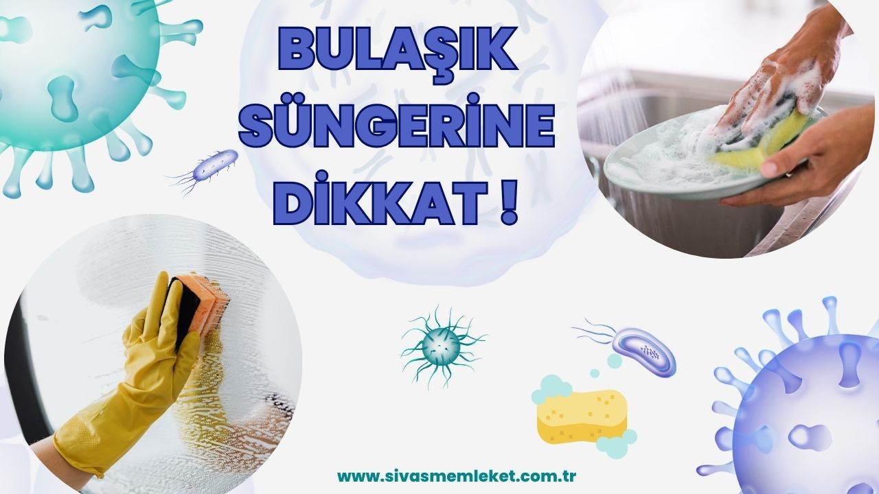 Bulaşık Süngerinin Zararlarını Dikkate Alın
