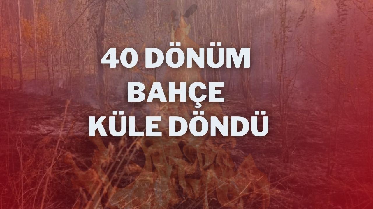 40 Dönüm Bahçe Küle Döndü