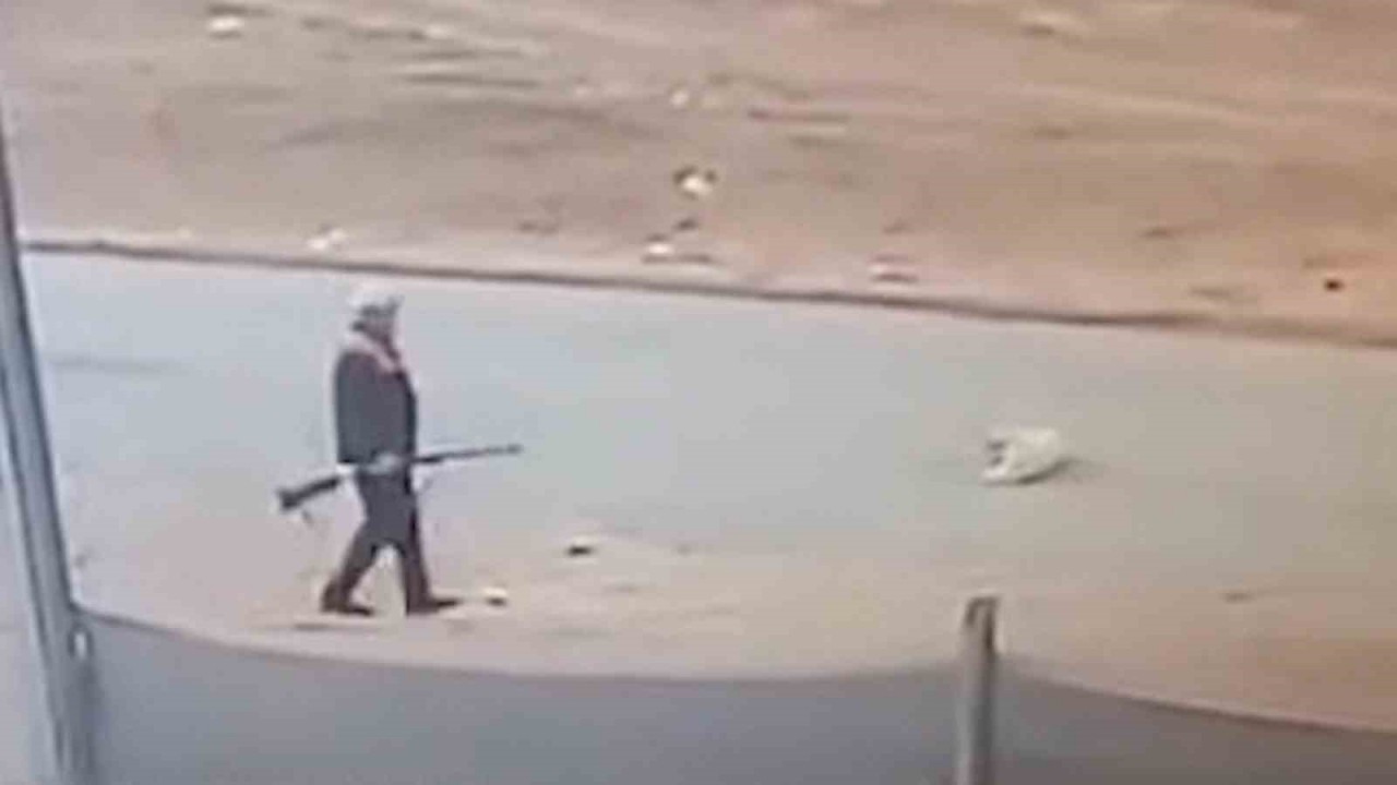 71 Yaşındaki Vatandaş,  Sahipsiz Köpeği Av Tüfeğiyle Vurarak Öldürdü