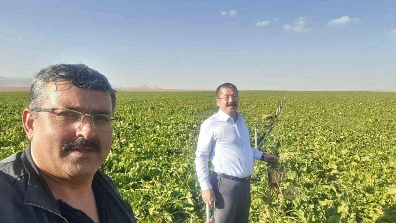 Karapınar’da mısır ve şekerpancarı mesaisi