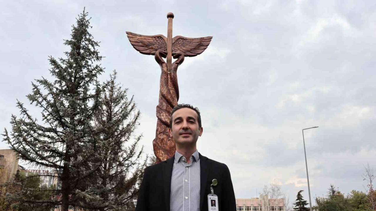 Kuruyan ağaçlar sanat eserine dönüştü
