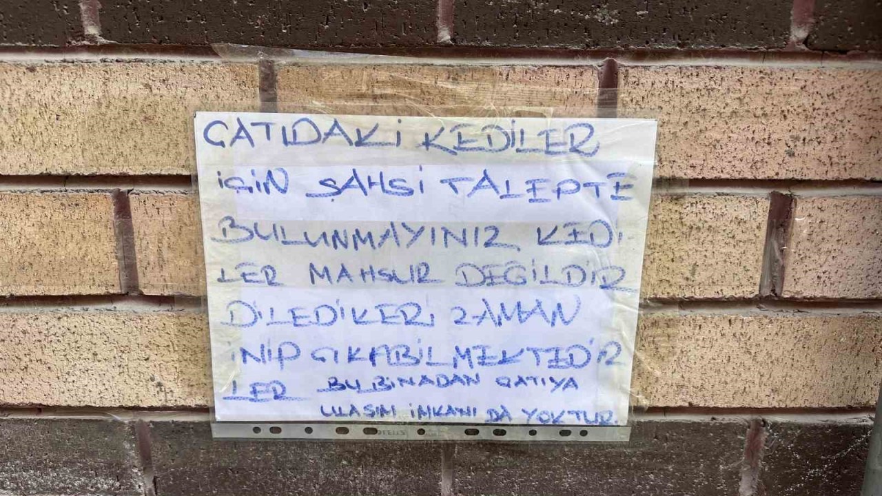 Mahsur kaldığı sanılan kedileri kurtarmak isteyenlere bilgilendirme yazısı astı