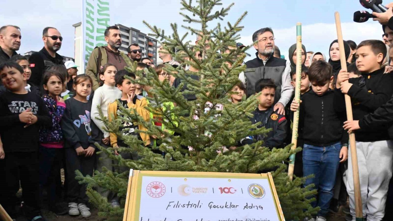 Ülke genelinde oluşturulan 2023 fidan dikim yerinde 5 milyon 2023 fidan toprakla buluşturuldu