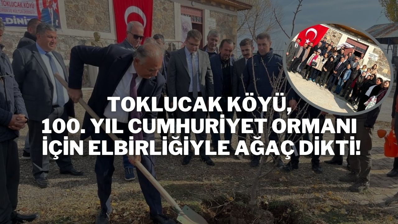 Toklucak Köyü,  100. Yıl Cumhuriyet Ormanı İçin Elbirliğiyle Ağaç Dikti!