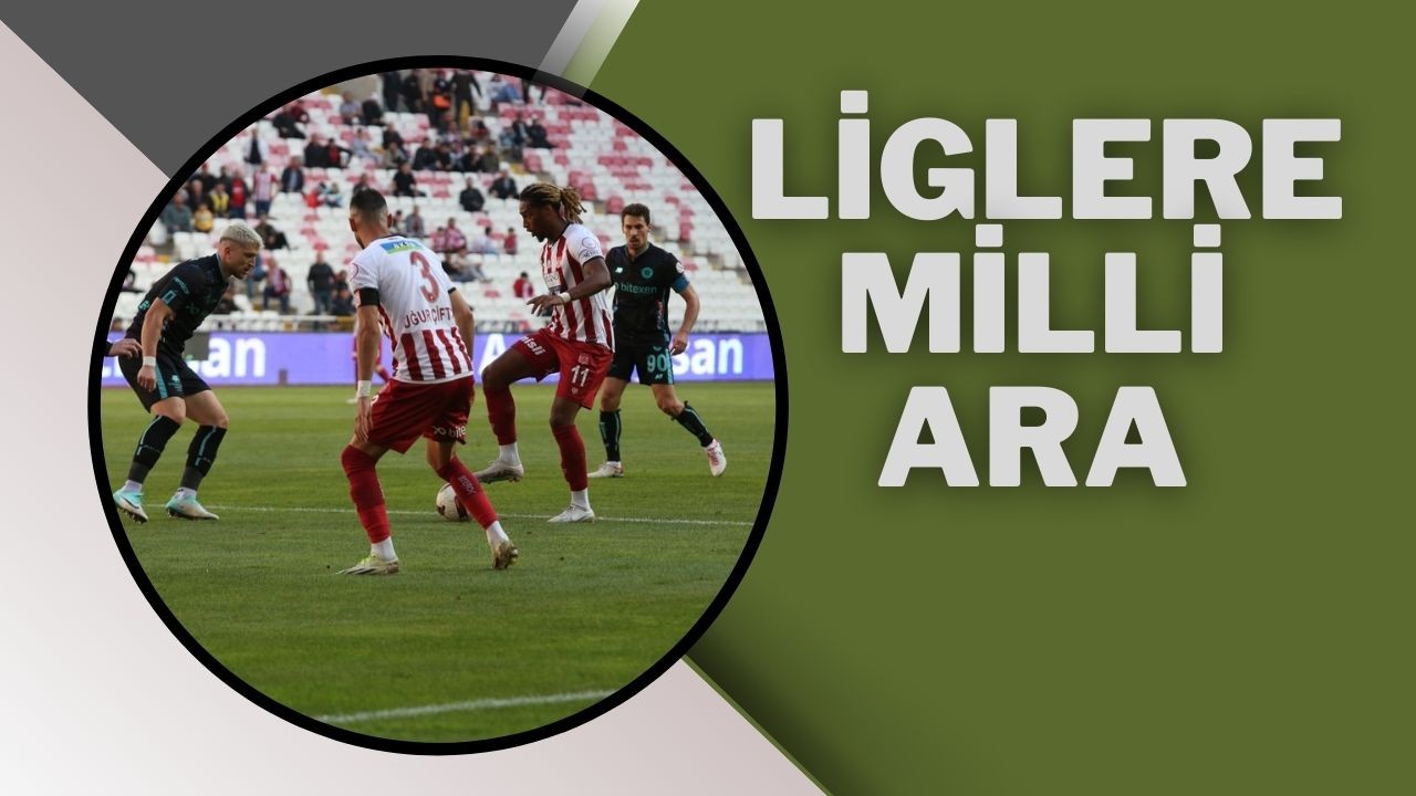 Liglere Milli Ara