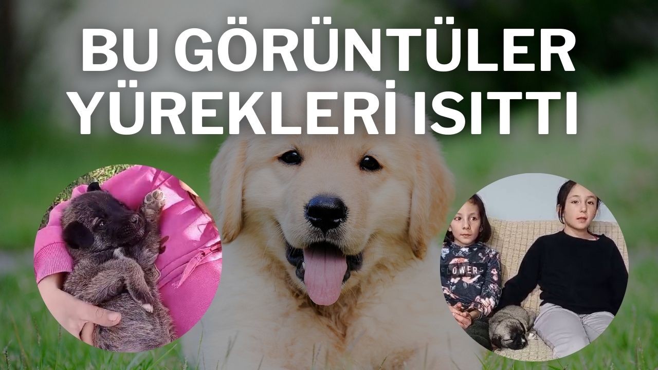 Bu Görüntüler Yürekleri Isıttı
