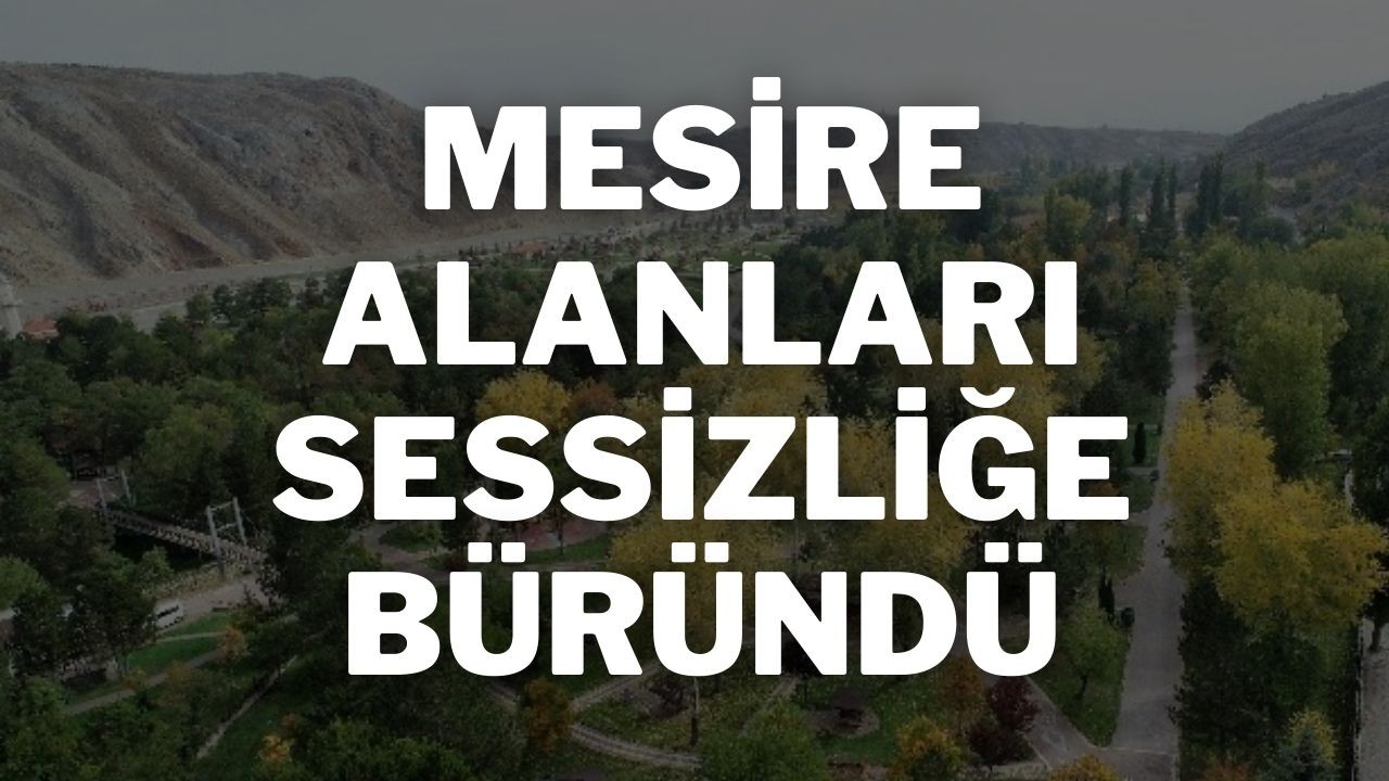 Mesire Alanları Sessizliğe Büründü