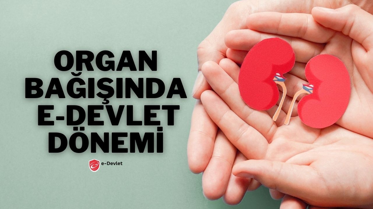 Organ Bağışında E-Devlet Dönemi