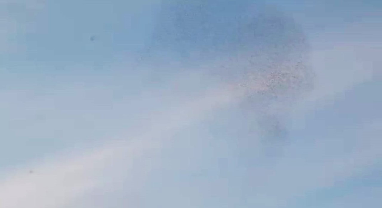 Kuşlar Görsel Şölen Oluşturdu