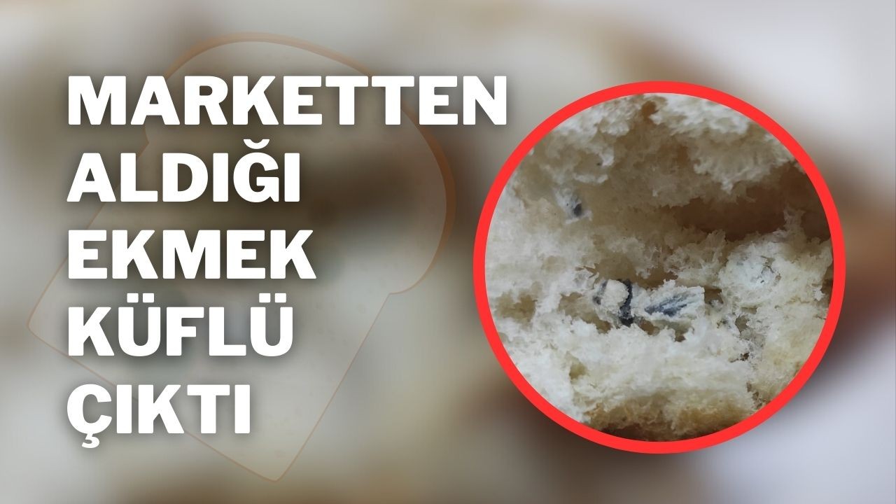 Marketten Aldığı Ekmek Küflü Çıktı