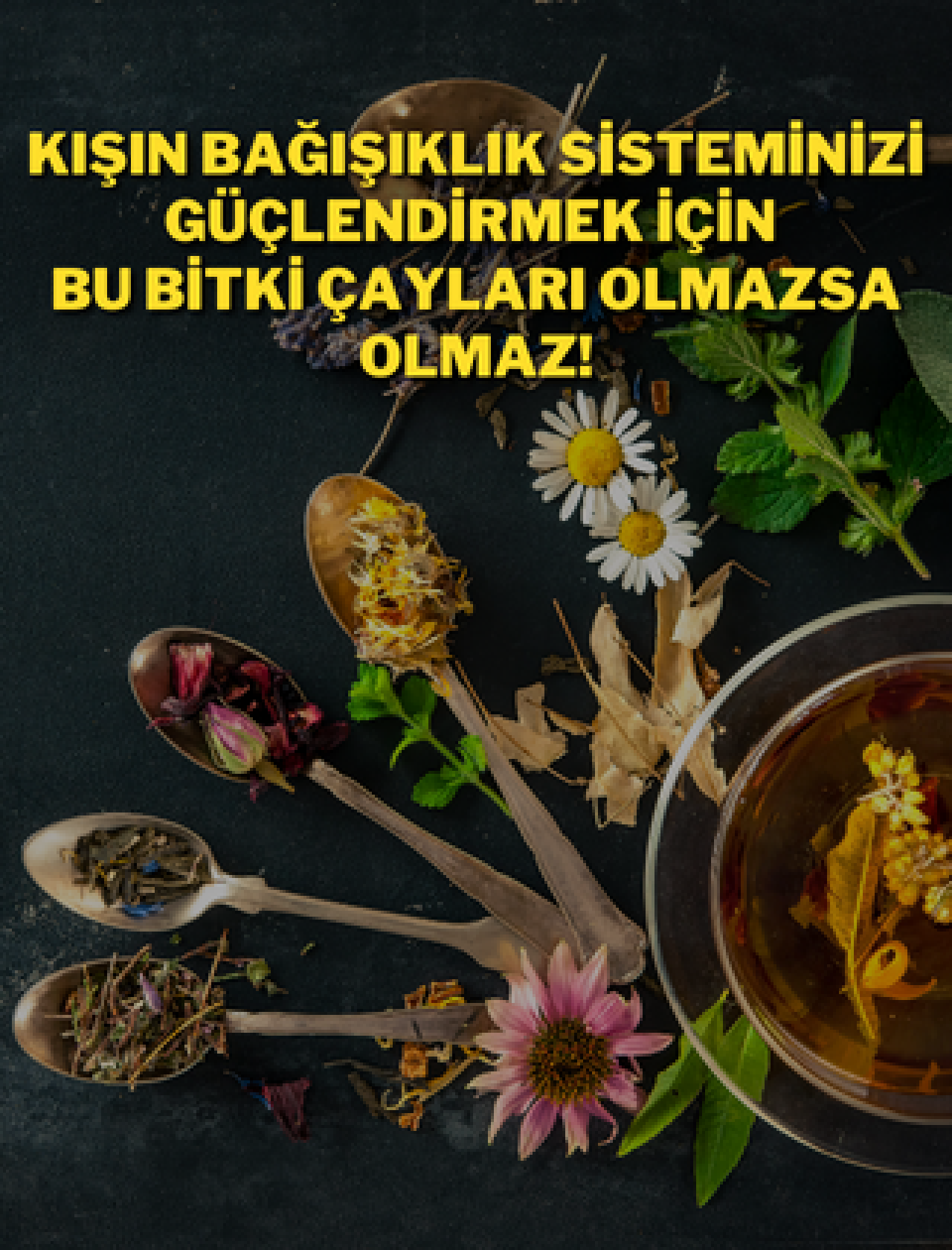 Kışın Bağışıklık Sisteminizi Güçlendirmek İçin Bu Bitki Çayları Olmazsa Olmaz!