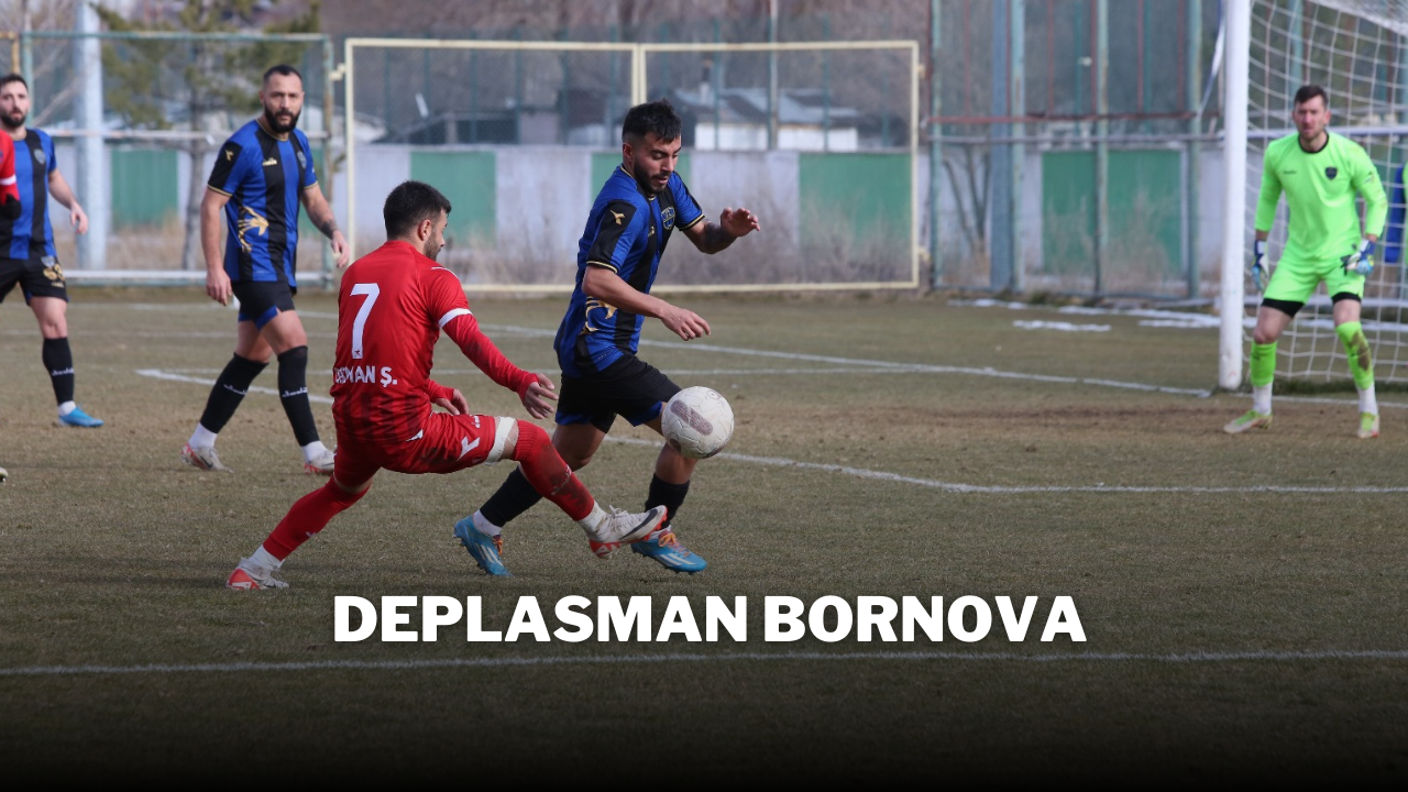 DEPLASMAN BORNOVA