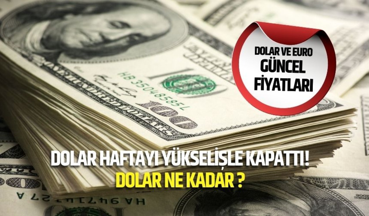 Dolar Haftayı Yükselişle Kapattı! Dolar ne kadar ?