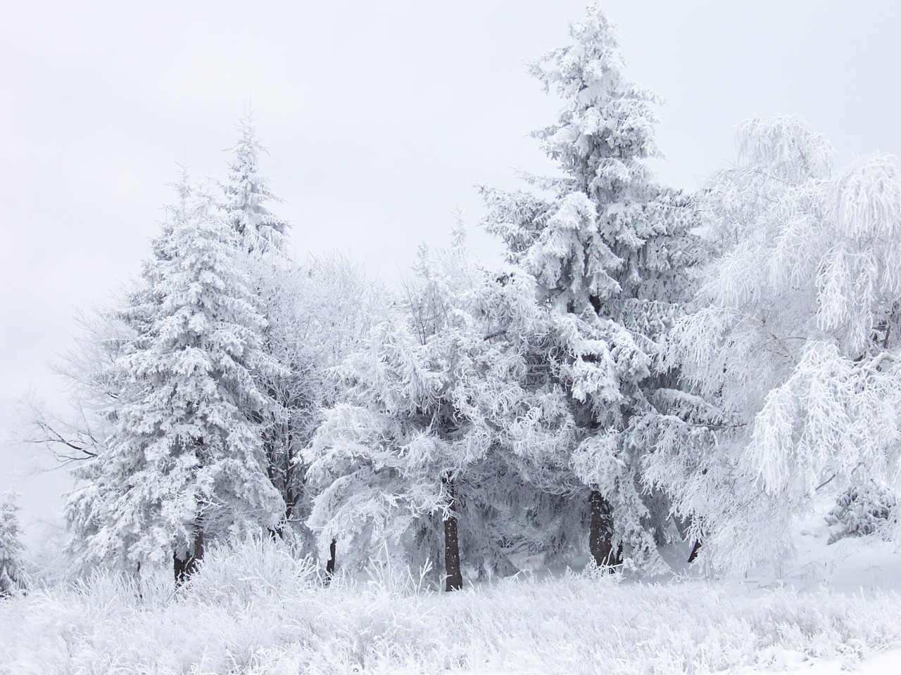 Meteorolojiden Yağmur ve Kar Uyarısı!