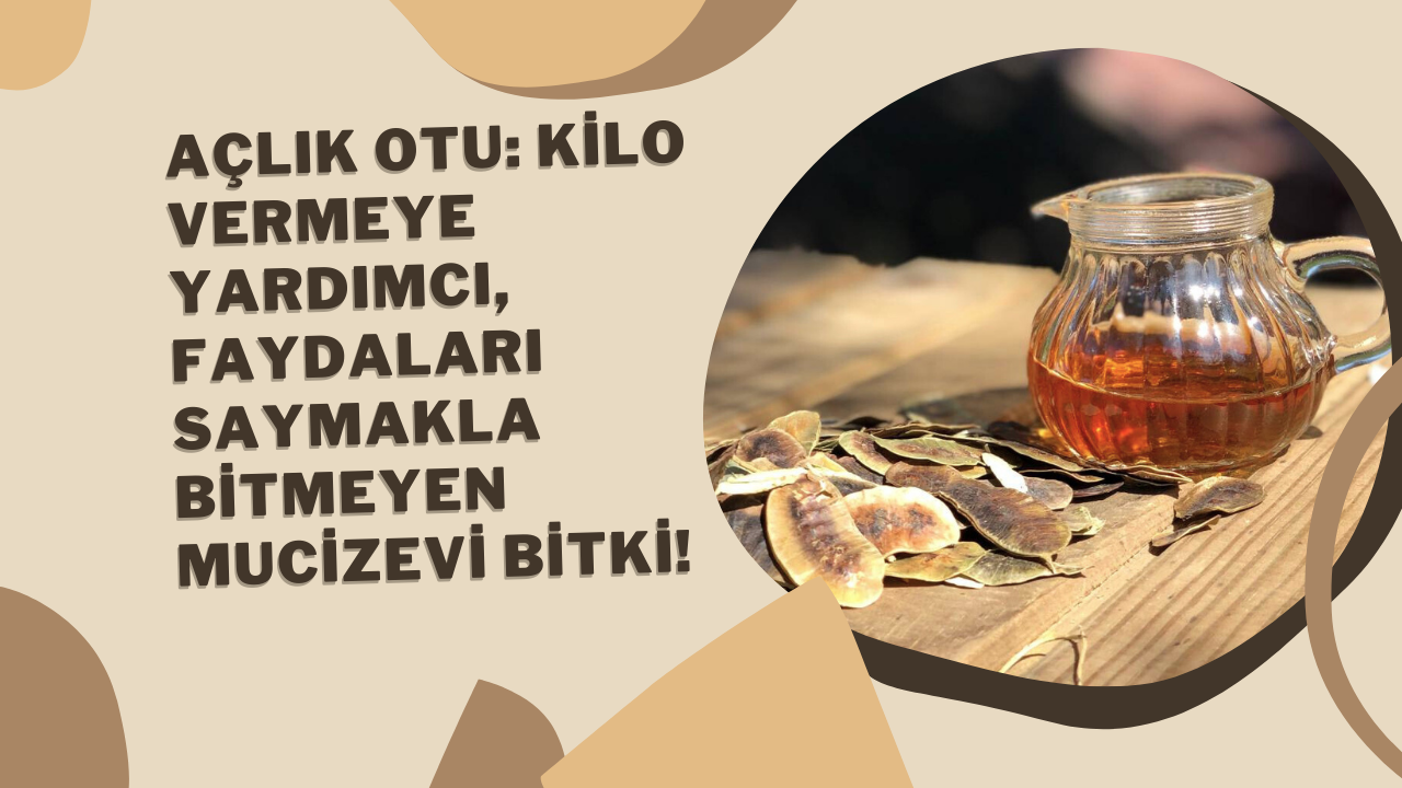 Açlık Otu: Kilo Vermeye Yardımcı,  Faydaları Saymakla Bitmeyen Mucizevi Bitki!