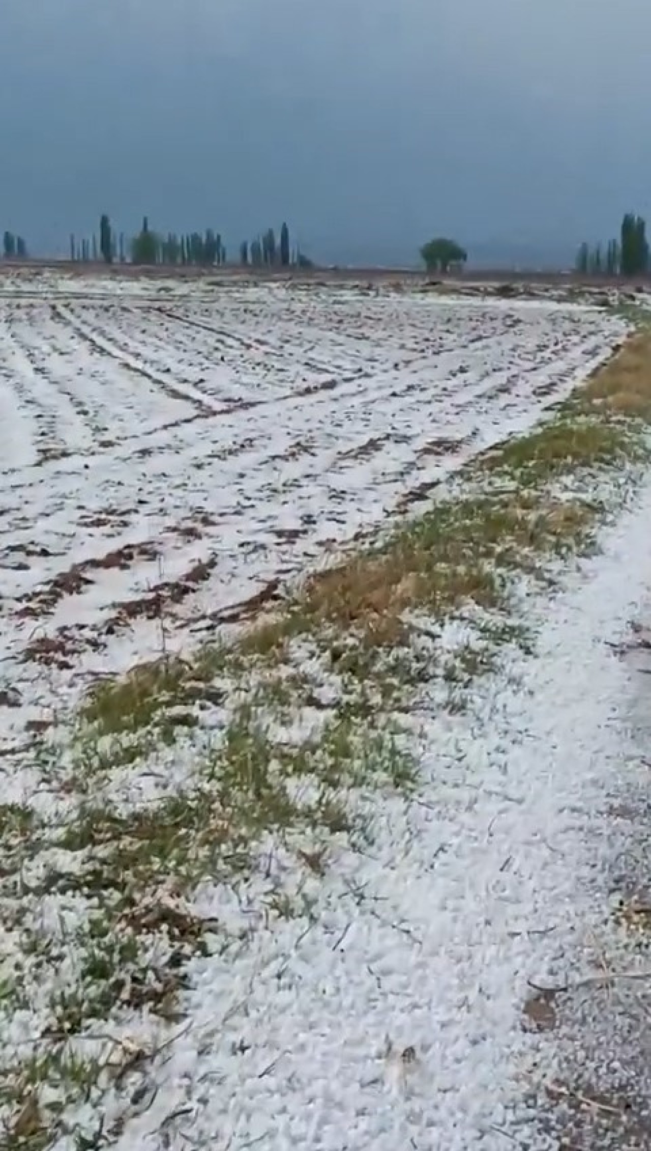 Niğde'de Dolu ve Su Taşkınları: Tarım Arazileri Zarar Gördü